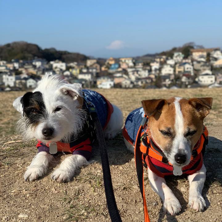 371355a9 1ddf 434e b1dc e185c501c275 1548726351141