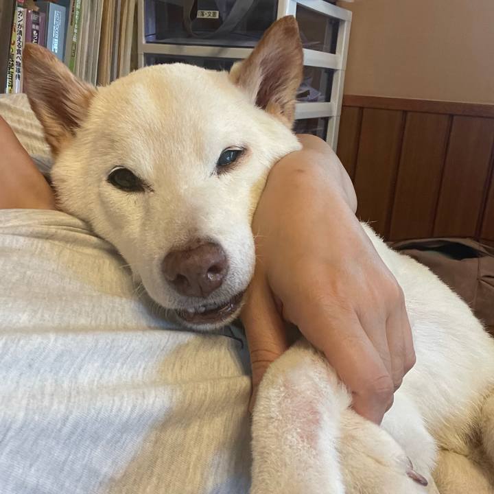 3713613c 7391 40c9 88de 53a33a6feec8 1662613555260