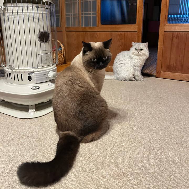 37136262 1eb7 4c91 b1d1 f026bc38dac0 1669535109508