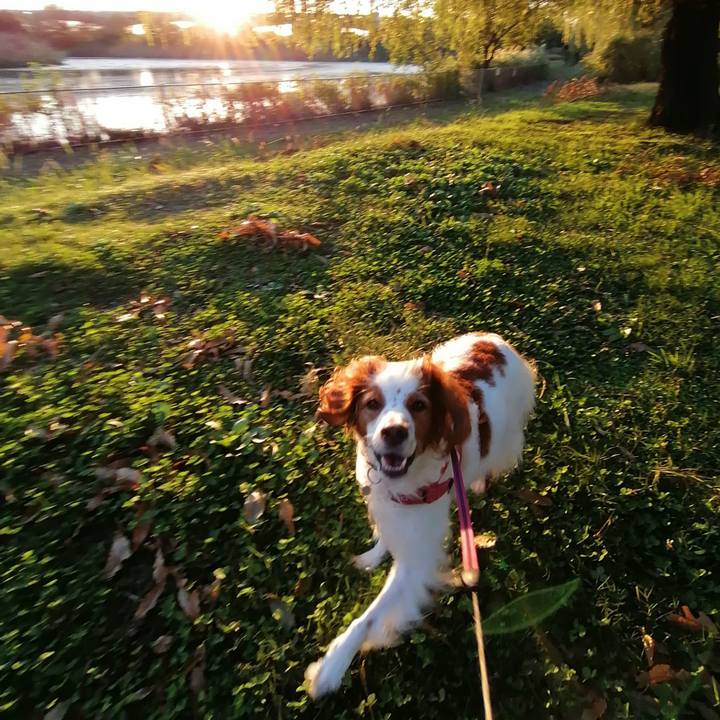 37136bdc 38f3 41d4 afca 580a4f4dad07 1603022832938