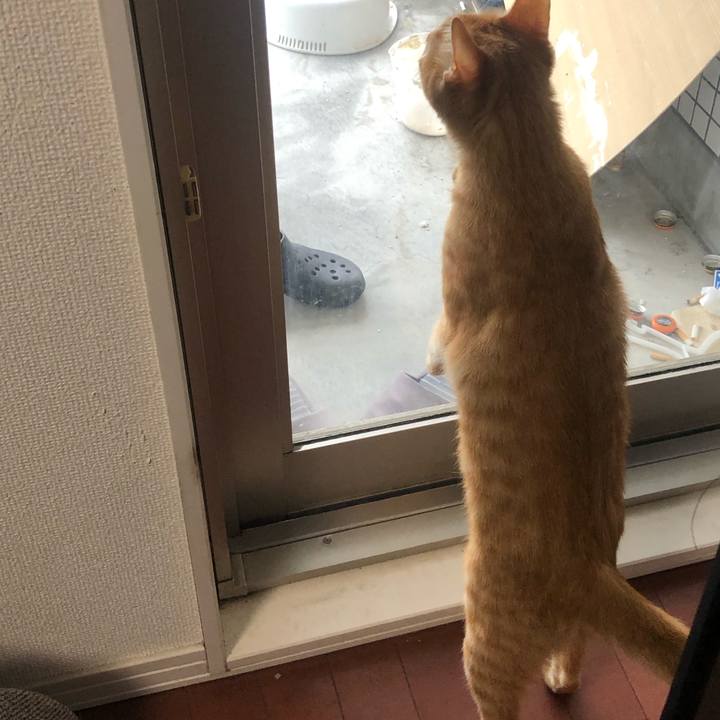 37136dee 2032 4b3d 8556 180d745eb5fe 1590053384975