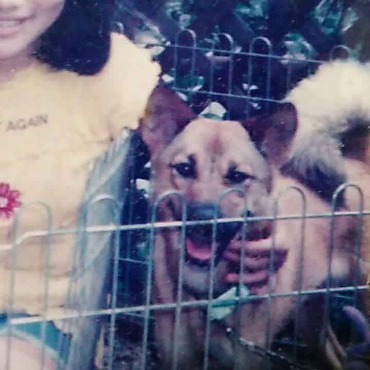 3713a087 d1f4 4f19 a150 468dbb80134b 1558261096512