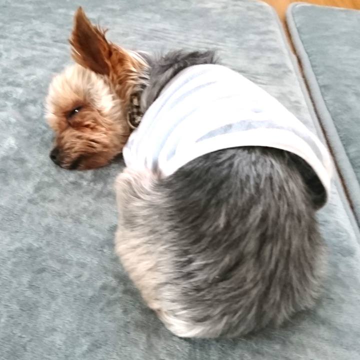 371413a0 5060 44f6 9464 6ca0b31b3373 1521266761917