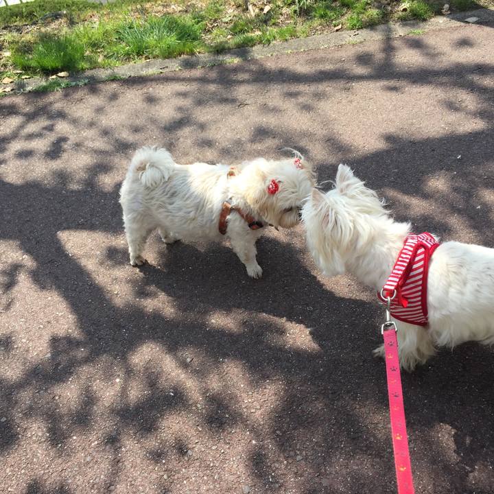 371458e7 5f79 46c6 9648 a4d698d94c0b 1522130337287