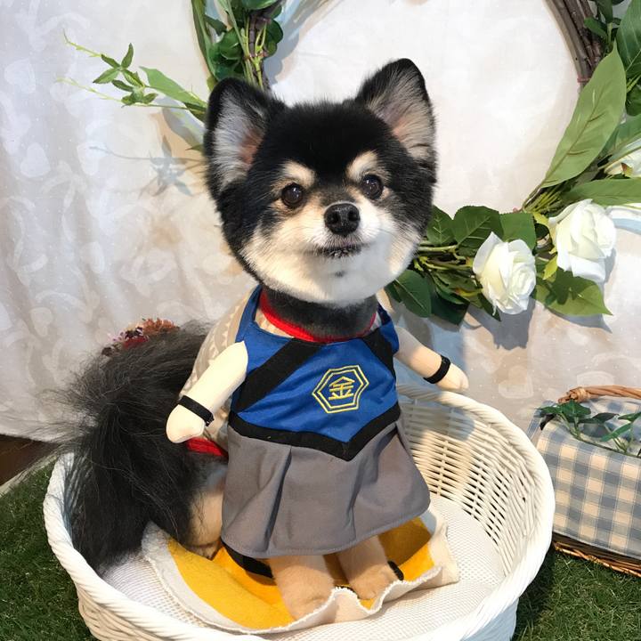 37145ece cd81 449c a7ba 9f843e872816 1565592476213