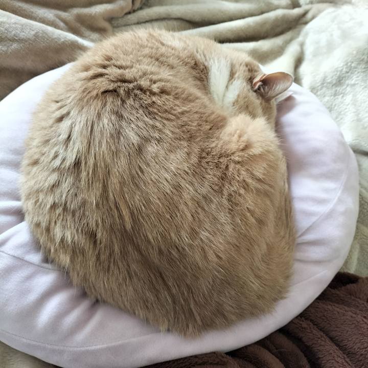 371483a0 224f 4927 9bcb 69bc16108f9d 1639878645323