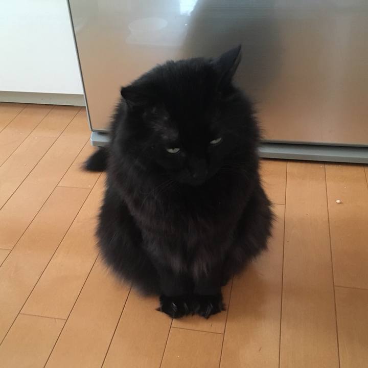 371495d6 f22a 4548 bb78 22bf322b6e16 1555642500101