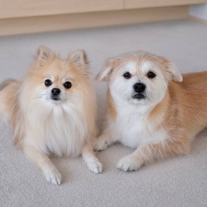 3714b1d7 3252 4f0d 8d1a 0b2676ffcf53 1773528234205