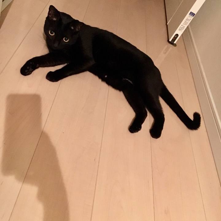 3714cd3c 87a3 4f82 91c3 f18af402d1a1 1538492480344