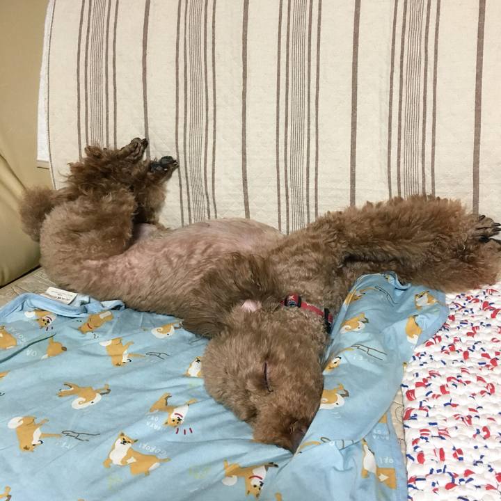 371504bb 7cf2 4228 99f4 855d9e724ada 1533533888032