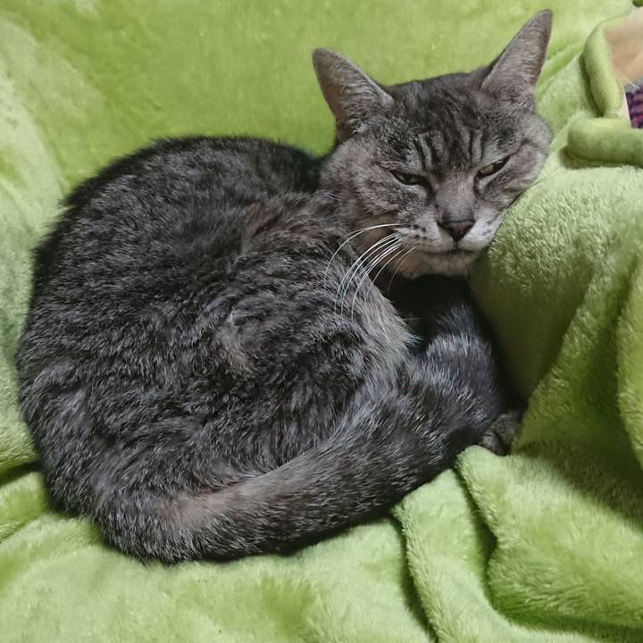 371524ec 9b8f 4be5 91e4 3e27e04ab0d8 1582338791896