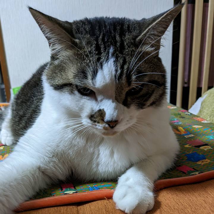 37153457 6ce5 42a9 aa2e ce3b60ee5e21 1684445922291