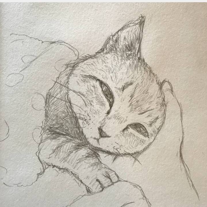 371580f6 a5a9 47bb 9935 4c7c2a6a8962 1516458825918