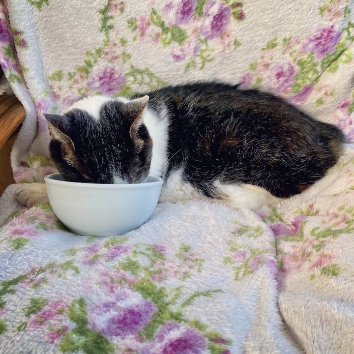 371581db 2880 4c26 9f6e a237249b0a85 1605336043584