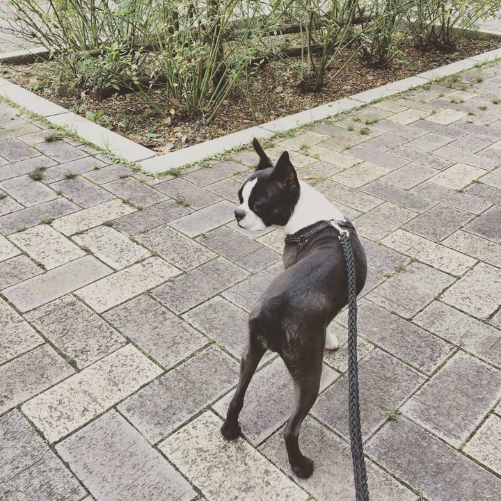 371595f0 a86c 4534 9bb9 b15560eb37cd 1512456107625