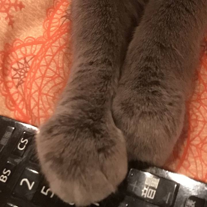 3715b2cb 101f 4ce5 8fb7 6da3c9512e99 1604019534555