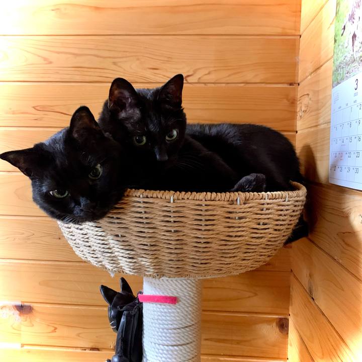 3715c157 61b8 414d 951b f650b5756ddb 1679527812517