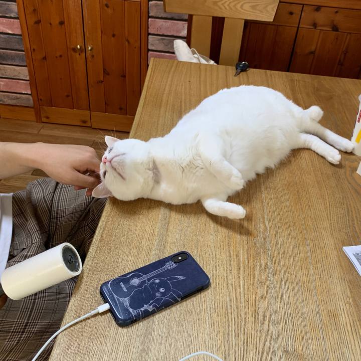 3715ce46 cdfa 482a 8db5 51b2df5de4b7 1649505423301