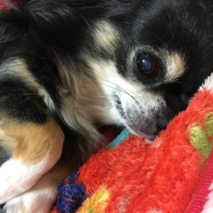 3715d031 9fb0 423d 93e7 319f5648de06 1509425970392