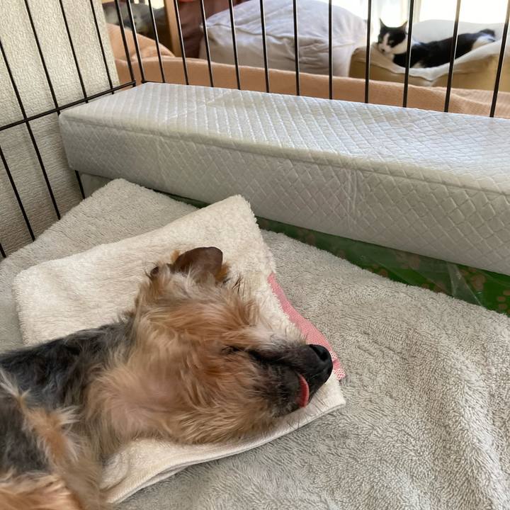 3715d04c 7ca5 4dd8 9201 5bd92799c458 1700823597612