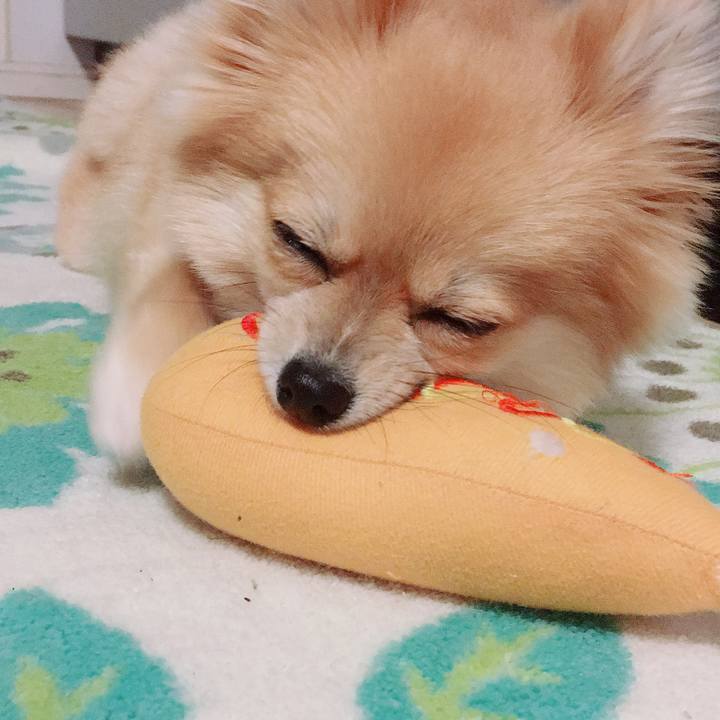 3715d72c 3466 447c 9c43 fa8f26e2ef30 1521805383765