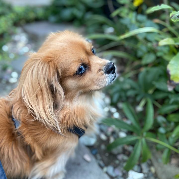 37162105 6325 47eb a76e 2a6ba7662670 1574290320124