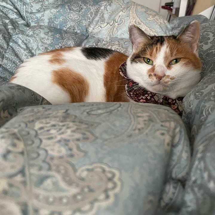 37163e90 99e5 4ad6 90b7 5178b87076c6 1762745945703