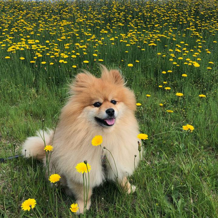 3716633f 0216 4361 930f 90082ec6bfb9 1556933020839