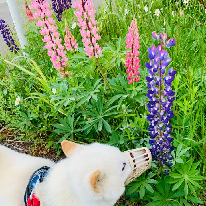 3716790f 4ad8 468c 89ef 1030b5520169 1655585652610