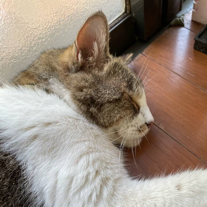 3716bdc7 9538 4698 8ca5 57f29b0e6446 1754138788853