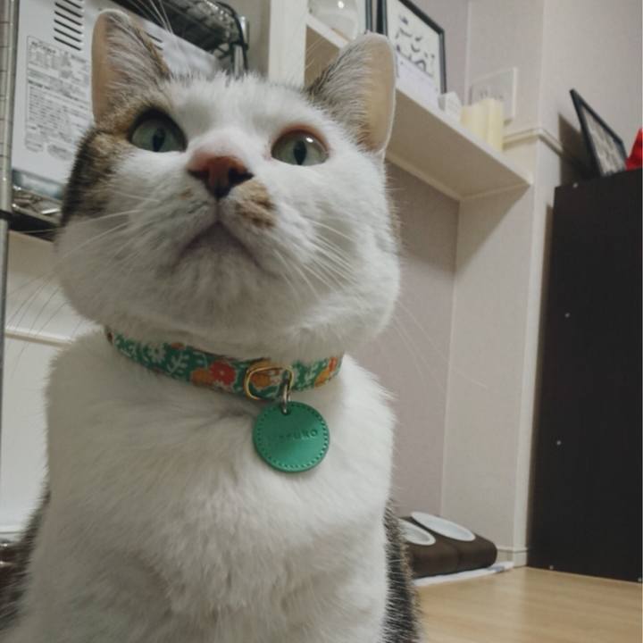 3716c832 2305 421a a040 ca39a0345e7b 1516162751833