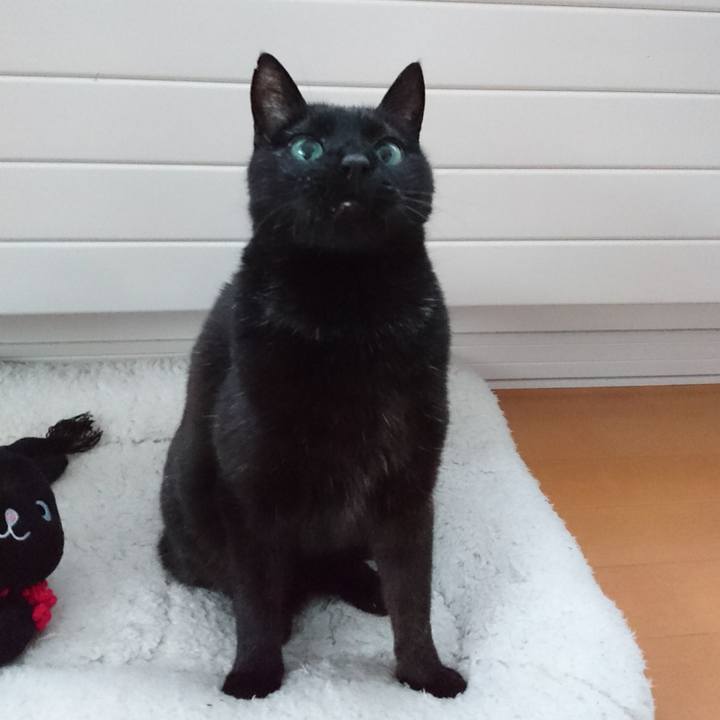 3716cc30 aed2 45e3 bde9 016d9de5f784 1548915451654