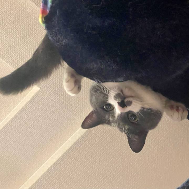 3716db4d 8d67 4414 b97d 2a223bf5bc81 1650803054670