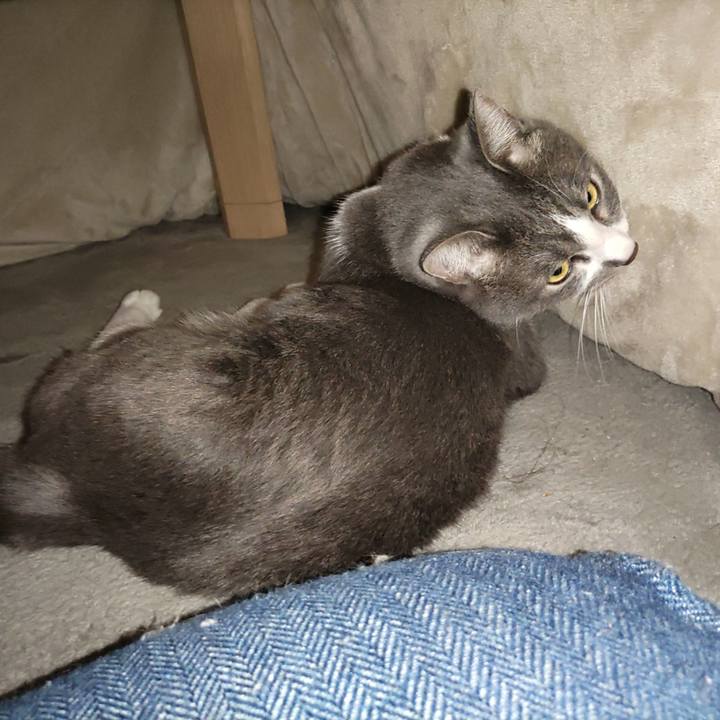 3716ded6 2491 44e6 8985 f2798a329653 1673575972694