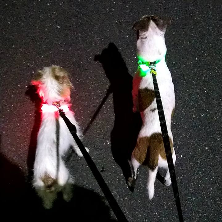 3716ea36 418d 4020 a266 ad12d7a40d2b 1532991522694