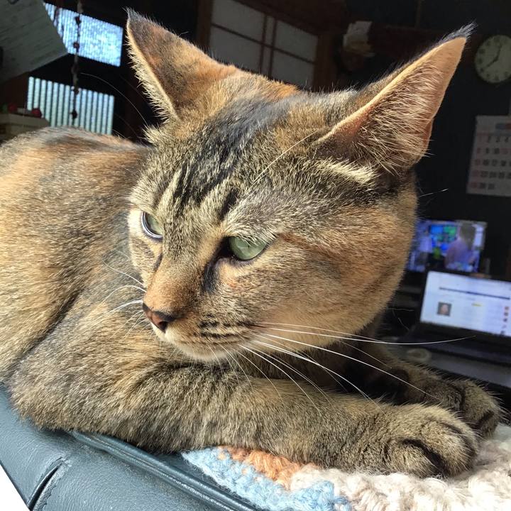 3716ec0f 840e 4afe acc3 124be5f3c269 1628552533538