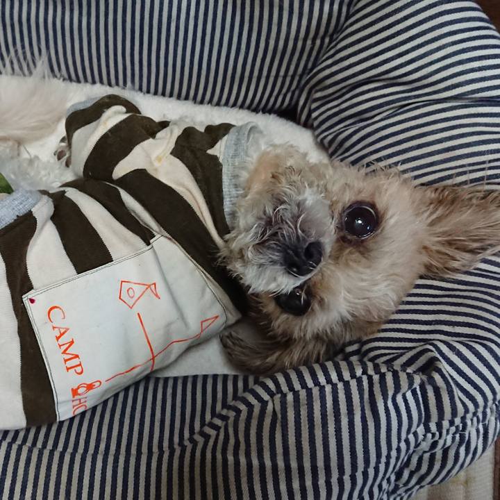 37174902 8525 4008 963b e31ef3a77369 1523091738410