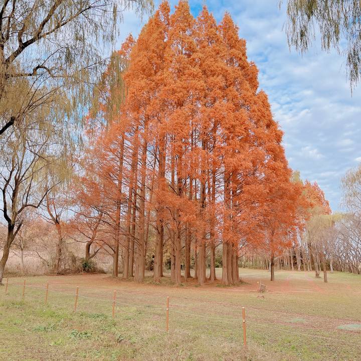 37176900 fe43 406c 84f9 efb28d9224e4 1670162686332