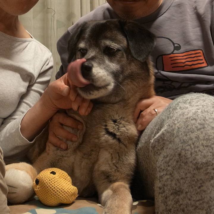 37177c16 a838 486e b553 358a85de9957 1603934383655