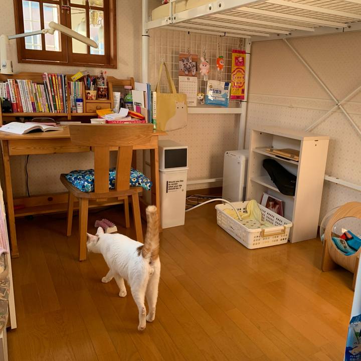 37179a79 e3ac 4e05 bc3b 3ded0a8e4f69 1633819271581