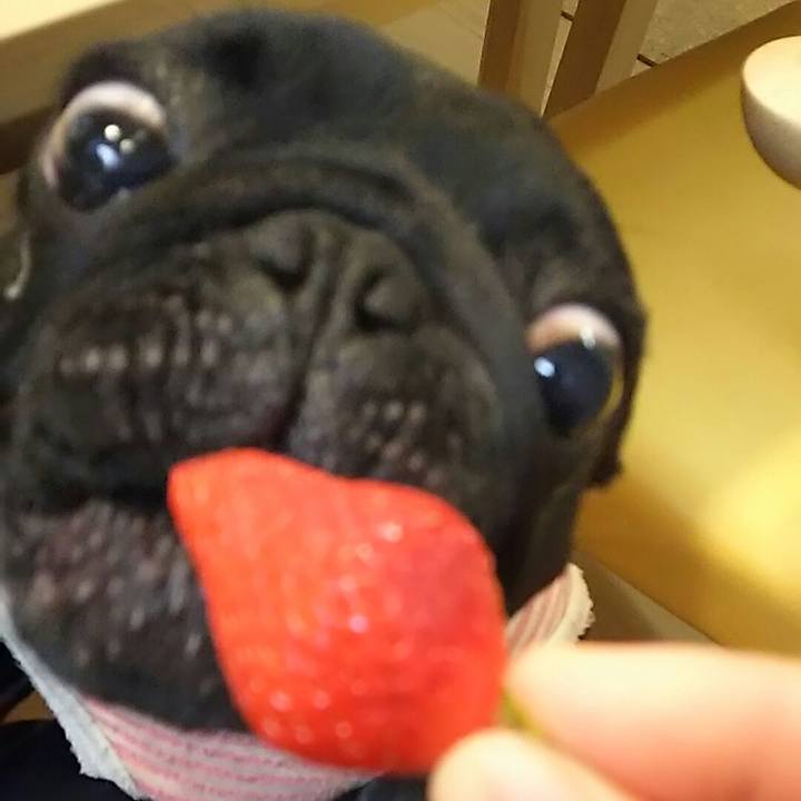 3717af5d 245c 4292 84ff 46d879c9ebd5 1549537832126