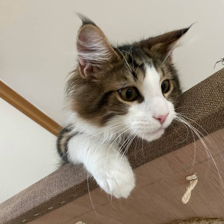 3717b89b 1b44 4fda 8e6c 1ad36761b03c 1636494407753