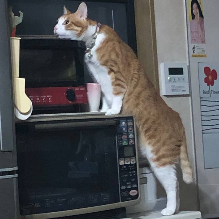 371814c7 f6a0 4fb5 a473 a2f26488a7b8 1573648906172