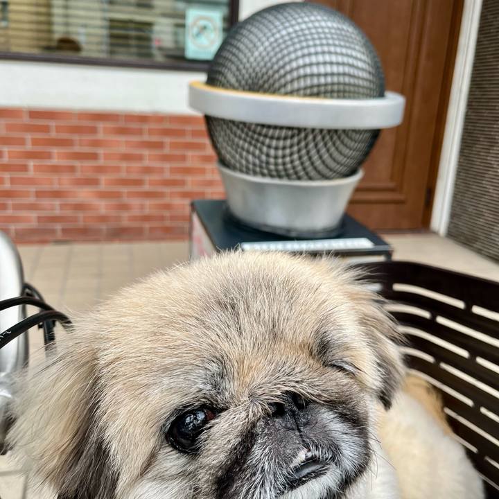 37181e72 6baf 42f1 a7f2 4077548f59cd 1727651163685