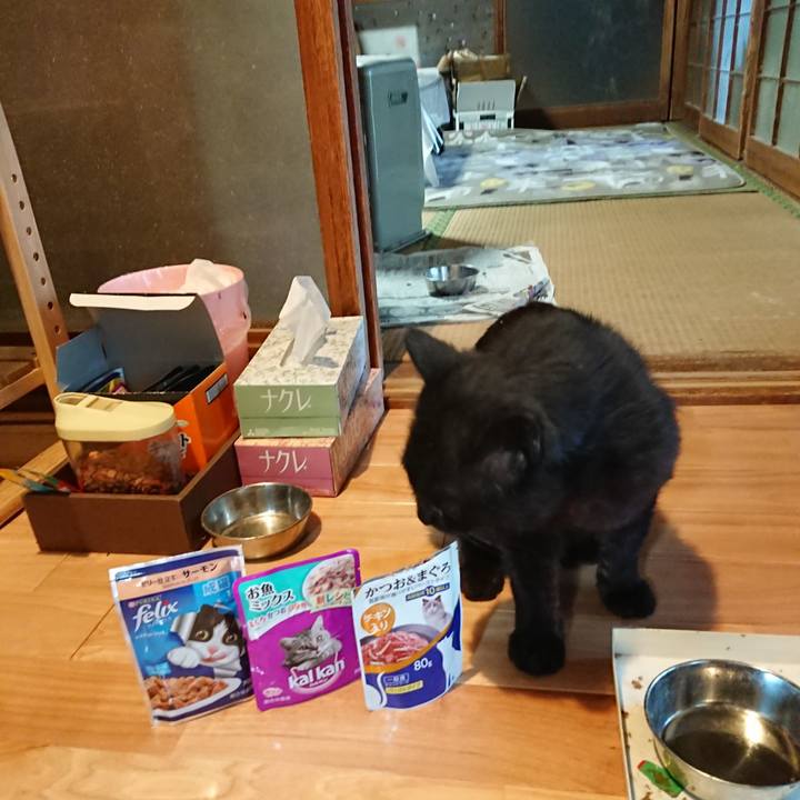 371831b5 ff6c 40b5 a0f4 846816bac7e6 1623319902817