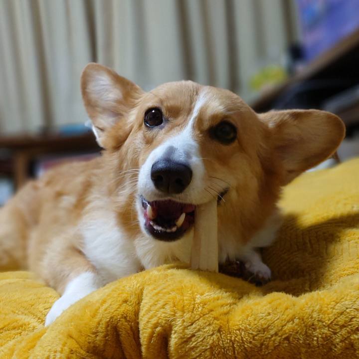 37189000 42aa 49a1 a317 05663923a212 1766321870380