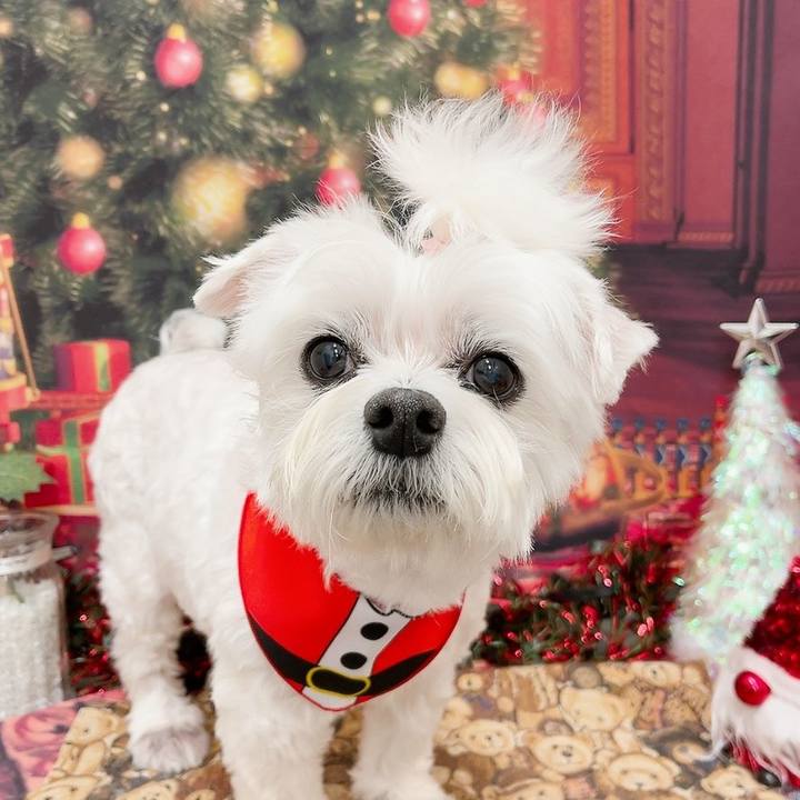 3718bc46 7563 4c16 8726 3eba54482973 1763031860053