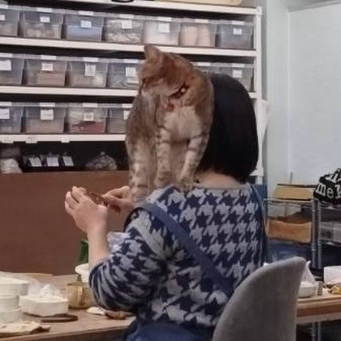 3718d411 2eb3 43de 8439 b2f433969900 1737689042588