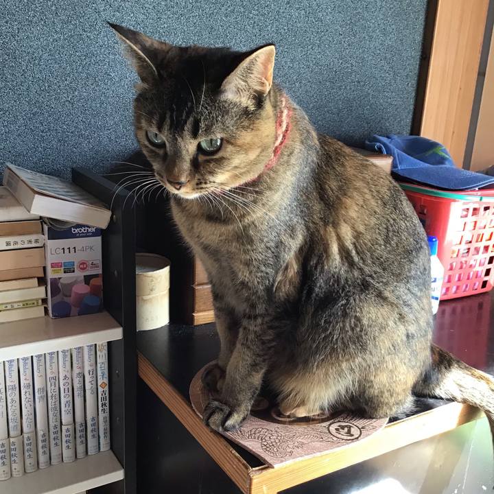 371920f5 c18c 4497 9b99 837e14c2c7e4 1632735837295