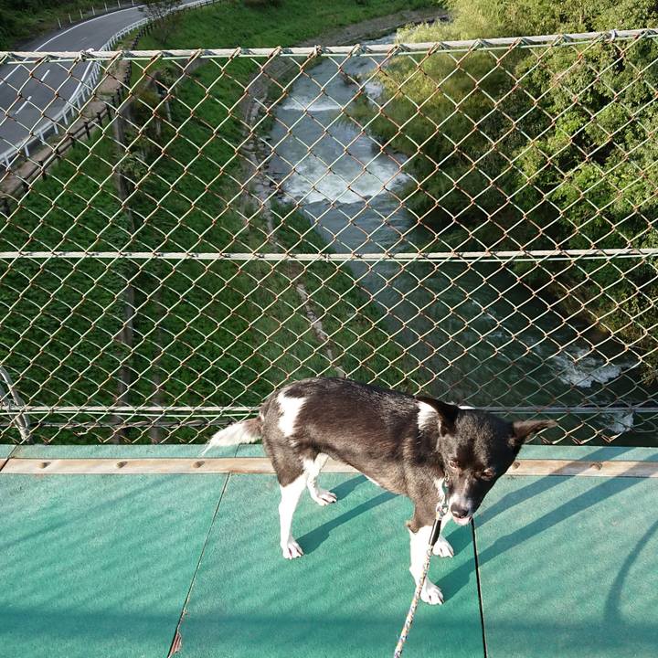 37194448 e66e 41cb b0be 93827e381718 1538391679546